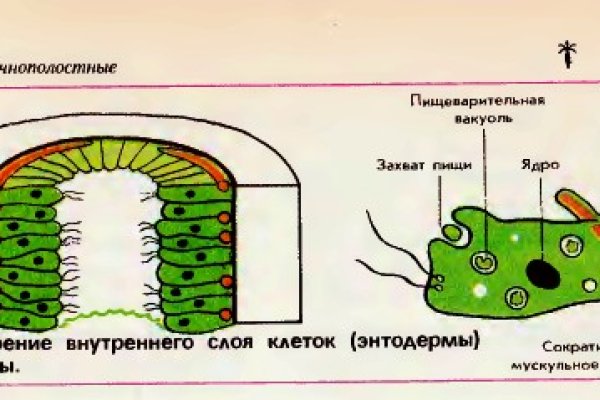 Кракен запрещен в россии